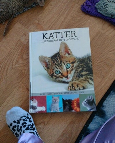 KATTER - ILLUSTRERAT UPPSLAGSVERK