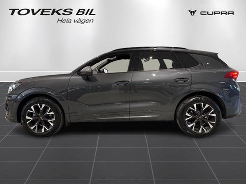 CUPRA Terramar mHEV 1.5eTSI |DRAG|P-VÄRMARE|MOMS|EDGE|NYBILSGA