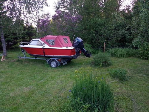 Rödluvan