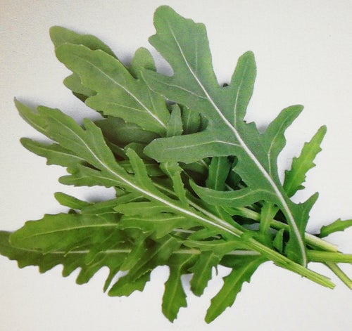 Tidig "RUCCOLA SALLAT" Olivetta 30 frön