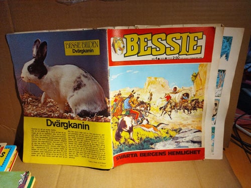 Bessie 1975 nr 4