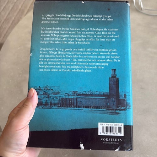 Jungfrustenen av Michael Mortimer