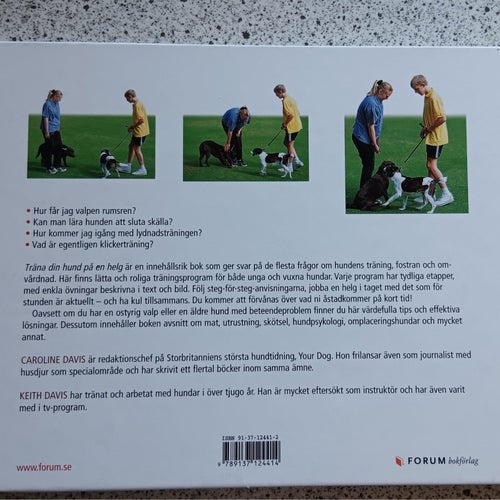 Träna din hund på en helg av Caroline Davis och Keith Davis