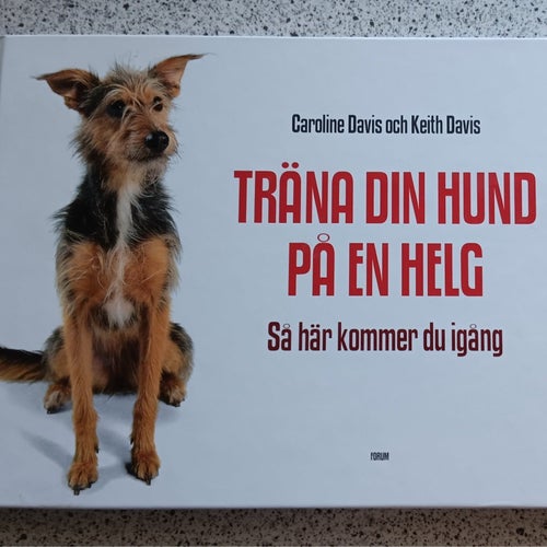 Träna din hund på en helg av Caroline Davis och Keith Davis