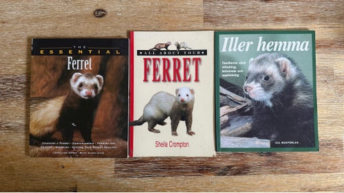 3 böcker om att ha iller som husdjur