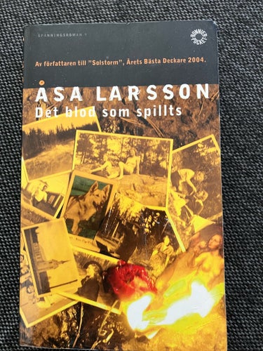 Det blod som spillts av Åsa Larsson, 2004