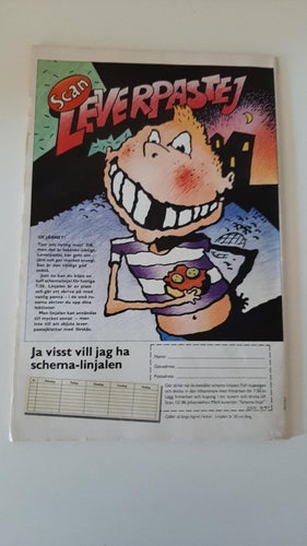 DENNIS NR 9 / 1987 I BRA SKICK