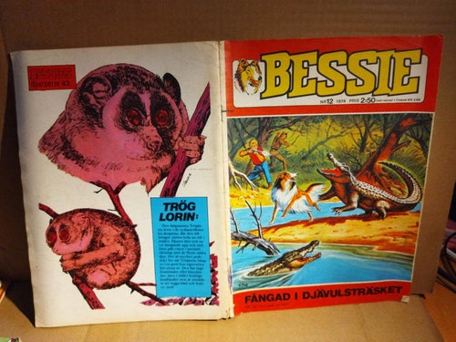 Bessie 1974 nr 12, Very Good