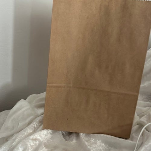 20 st papperspåsar ta med påsar