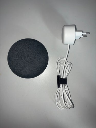 Google Home Mini
