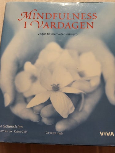 Mindfulness i vardagen av Ola Schenström