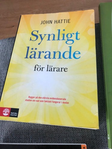 Synligt lärande för lärare John Hattie