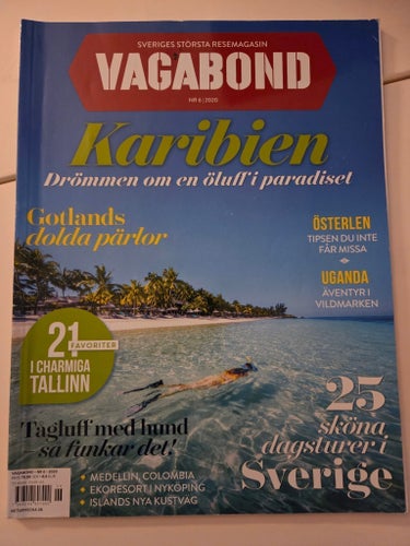 Vagabond Nr 6 2020