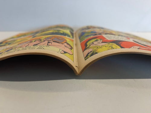 Illustrerade Klassiker Nr 13