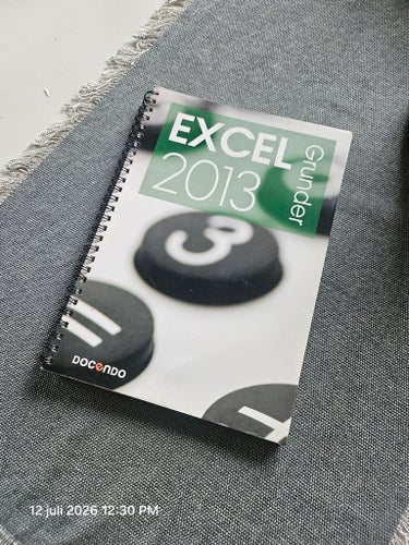 EXCEL 2013 Grunder av Docendo, 2013
