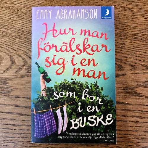 Hur man förälskar sig i en man som bor i en buske - Emmy Abrahamson