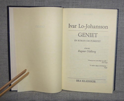 Ivar Lo-Johansson - Geniet