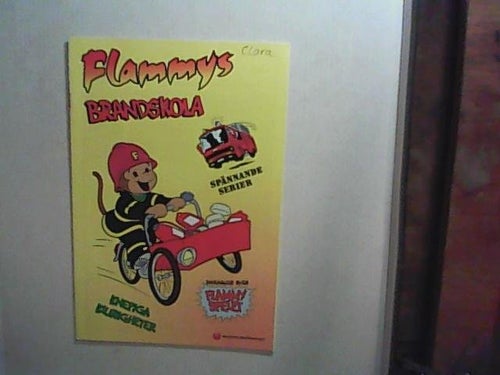 Flammys brandskola 2005