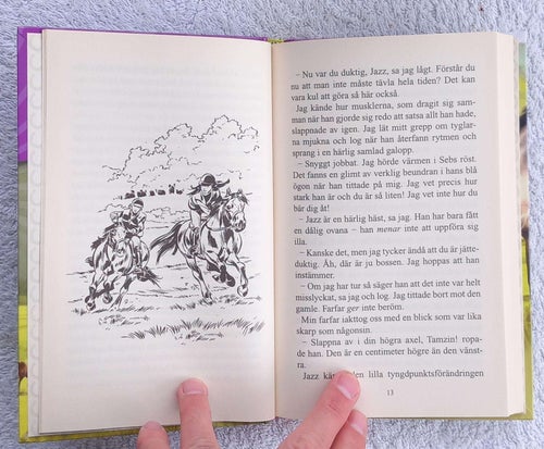 Problemhästen (ungdomsbok, hästar)