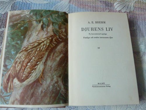 DJURENS LIV,  19 ,   A. E. BREHM,  1961,  BÖCKER