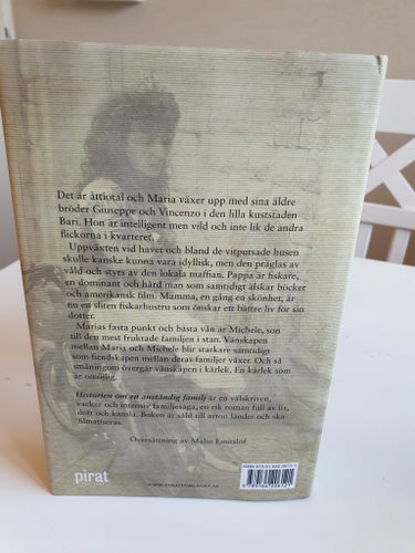 Historien om en anständig familj av Rosa Ventrella Inbunden