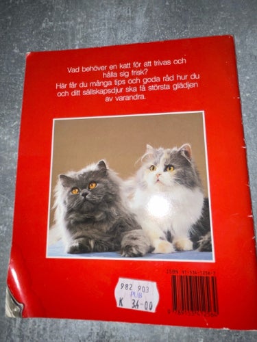 Min första katt