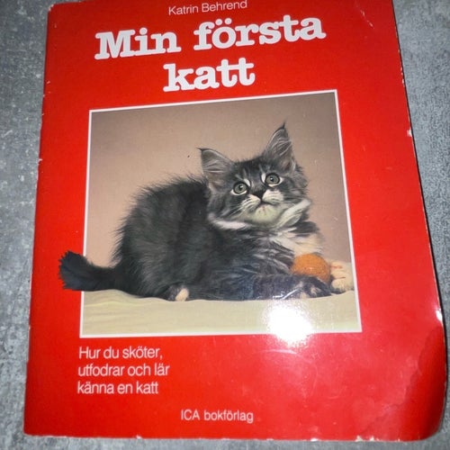 Min första katt