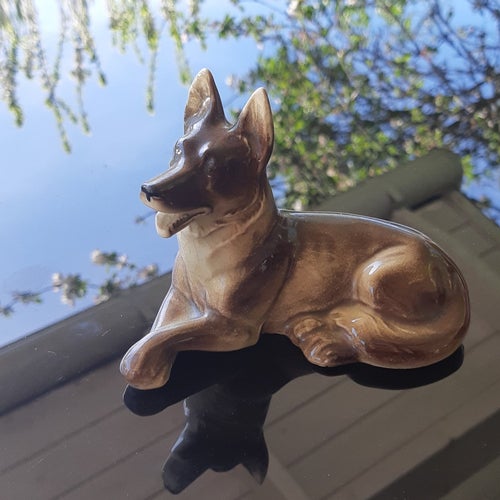 Hund liggande schäfertyp