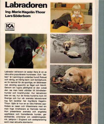 Labradoren (inb) mkt info + många bilder