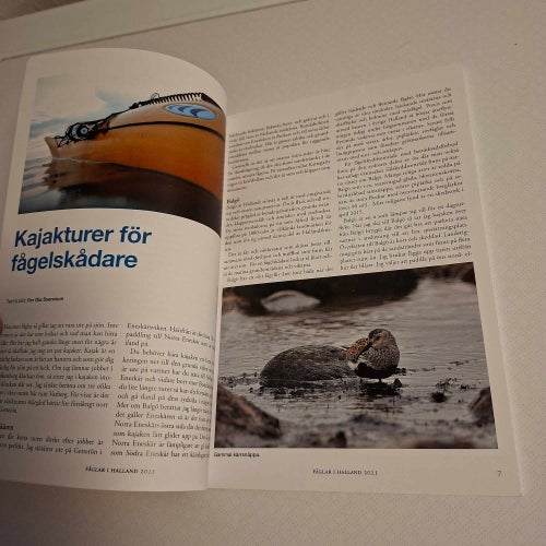 Fåglar i Halland 2021 (hft) rikt illustrerad