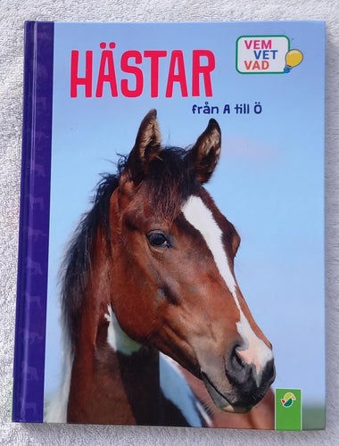 Hästar – från A till Ö