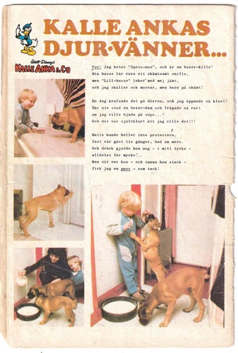 Kalle Anka 1971-5