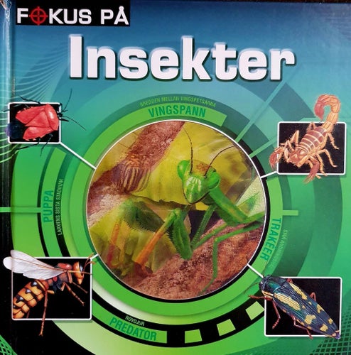 Fokus På Insekter av Maud Steen
