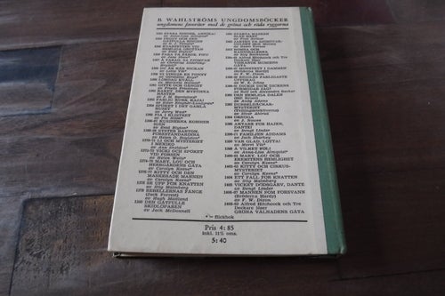 Mannen som försvann, författare F.W. Dixon