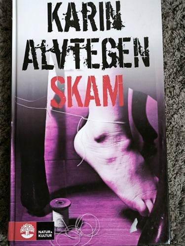 Skam av Karin Alvtegen, 2007
