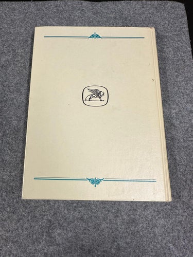 The golden treasure chest Adventure Stories