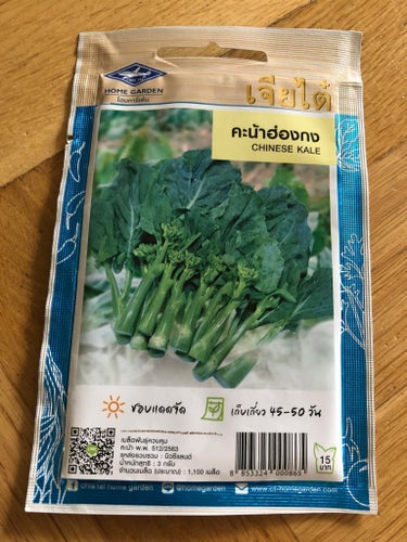 Kinesisk Daggkål / Chinese kale (20 frön)