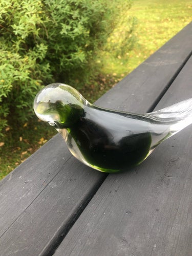 Glasfågel 705 g , 18 cm lång . Olivgrön, transparent huvud och bakparti