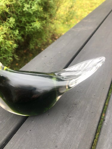 Glasfågel 705 g , 18 cm lång . Olivgrön, transparent huvud och bakparti