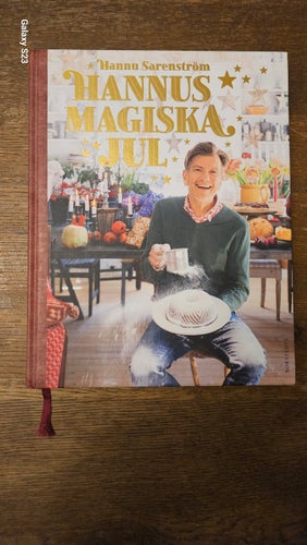 Hannus magiska jul, Hannu Sarenström
