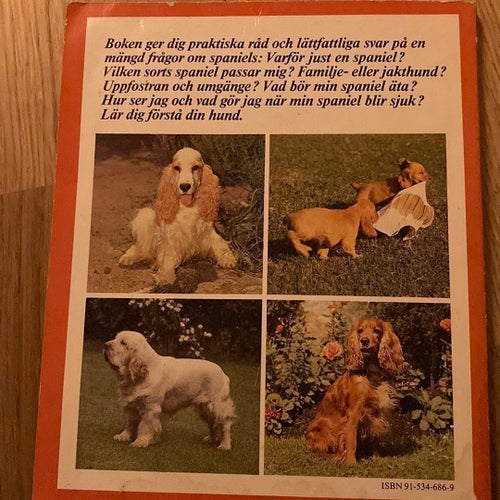 Min spaniel av H-J Ullman och E Ullman