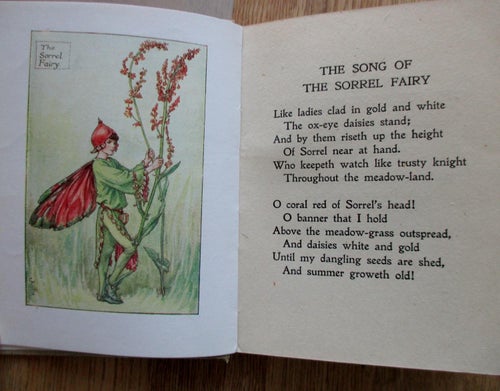 Fiower Fairies of the summer, Fantastisk bok med vackra illustrationer