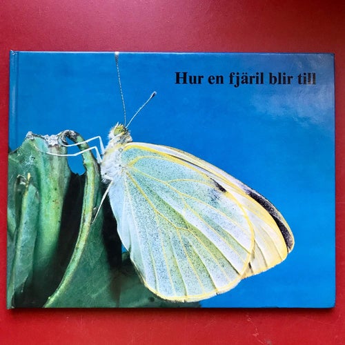 HUR EN FJÄRIL BLIR TILL Barbro Nessen 1976