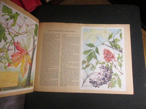 1 KOMPLETT - ALBUM MED 52 - BLOMMOR - TRÄD - BUSKAR - BERLINER MORGENPOST - 1958