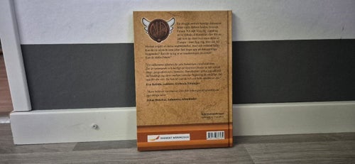 Skuggan och det mystiska dokumentet Nike Athena Johnny Munkhammar