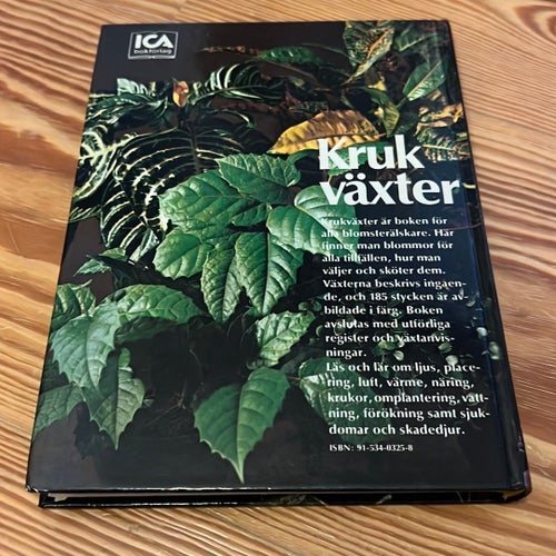Krukväxter: Skötsel, Plantering & Miljö