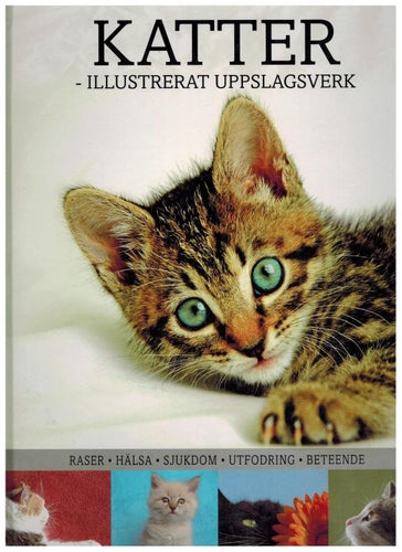 Katter - illustrerat uppslagsverk (inb) praktverk!!