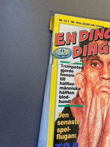 En Ding Ding Värld - Nr 12/1 1996