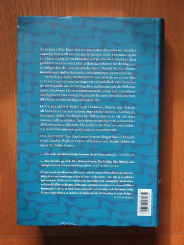 Ankor, Newburyport av Lucy Ellmann, 2019
