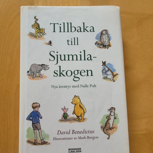 Tillbaka till Sjundaskogen av David Benedictus, 2009